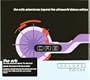 Orb's Adventures Beyond the Ultraworld (Dlx)