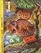 Books : Treasures: Kindergarten Activity Books Unit 1 - 10 and a Start Smart (Set of 11)