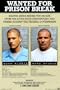 Prison Break Poster Print, 24x36