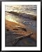 Broken Logs, Lake Scenes Photography Framed Art Poster Print by Keith Levit, 31x39