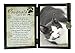 Pawprints Left By You Memorial 5x7 Frame for Cat with Pet Tag