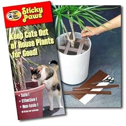 Sticky Paws for Plants