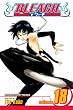 Bleach: v. 18