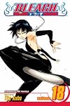 Bleach, Volume 18: The Deathberry Returns