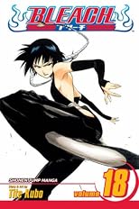 Bleach, Volume 18: The Deathberry Returns