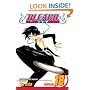 Bleach: v. 18 (Bleach)