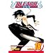 Bleach, Volume 18