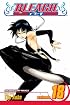 Bleach, Volume 18