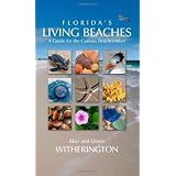 Florida's Living Beaches: A Guide for the Curious Beachcomber