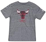 Chicago Bulls