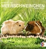 Kuschelige Meerschweinchen 2010 - Postkartenkalender - 