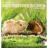 Kuschelige Meerschweinchen 2010. Postkartenkalendervon "Monika Wegler"