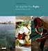 An Appetite for Puglia