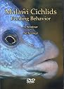 Malawi Cichlids Feeding Behavior, A Seminar by Ad Konings