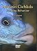 Malawi Cichlids Feeding Behavior, A Seminar by Ad Konings