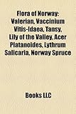 Flora of Norway: Valerian, Vaccinium Vitis-Idaea, Tansy, Lily of the Valley, Acer Platanoides, Lythrum Salicaria, Norway Spruce-