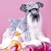 Plush Schnauzer, Plush Fritz The Schnauzer 16"
