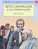 Betsi Cadwaladr a Victorian nurse