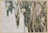 Korin Furuya, Patterns of Plants and Flowers from Nature