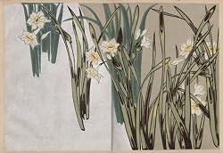 Korin Furuya, Patterns of Plants and Flowers from Nature