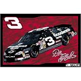Dale Earnhardt Sr. Nascar Team Tufted Rug by Northwest (39 x54 )