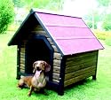 Sommer-Hundehütte