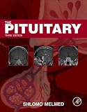 The pituitary