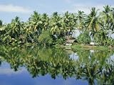 The Backwaters Near Kumarakom, Kerala State, India, Asia Photographic Poster Print