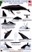 Book North Atlantic Coast: Marine Mammal Behaviors