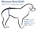 Belly Band for Male Dog Training and Incontinence (Blue Paw Print) (Large: 20