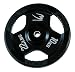 BB-SPORTS BODYMAKER ���o�[�v���[�gNR 10.0kg�~2 PNR
