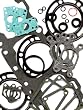 Winderosa Gasket Set with Oil Seals 711182