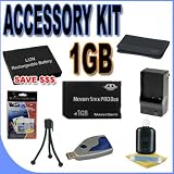 BigVALUEInc Accessory Saver Bundle NP-BG1 for Sony DSCH10, DSCH50, DSCW150, DSCW170, DSCW300, Digital Cameras - Kit Includes - NPBG1 Rechargeable Lithium Ion Replacement Battery - 1GB PRO Duo Memory Stick - Quick-Rapid External Battery Charger - Flexible Mini Table Top Tripod + MORE!