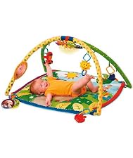 Baby Einstein seek and discover activity gym
