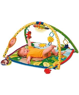 Baby Einstein seek and discover activity gym
