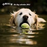 Dog Photo Contest Calendar