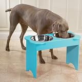 Pet Supplies : Elevated Raised Double Diner Feeder Pet Bowls