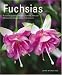 Books : Fuchsias: A Practical Guide to Cultivating Fuchsias, with Over 500 Beautiful Photographs and Illustrations