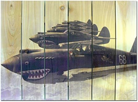 Gizaun Art P40 Warhawks Inside/Outside Full Color Cedar Wall Art, 22 by 16"