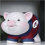 Colorado Avalanche NHL Piggy Bank