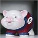 Colorado Avalanche NHL Piggy Bank