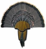 UPC 021291008490 product image for H.S. Strut Turkey Tail & Beard Mounting Kit by Hunter's Specialties | upcitemdb.com