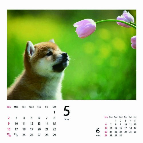2010子柴[卓上](Yama-Kei Calendar)