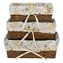 Crown Crafts Classic Pooh 3-pc Nursery Basket Set - Sage