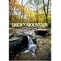 Smoky Mountain Dreams