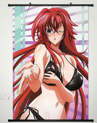 Home Decor High School DXD New Cosplay Wall Scroll Poster Rias Gremory 23.6 X 35.4 Inches- 054