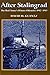 After Stalingrad: The Red Army's Winter Offensive 1942-1943