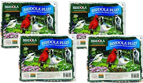 (4 Pack) Birdola Plus Seed Cakes 2-Pounds each