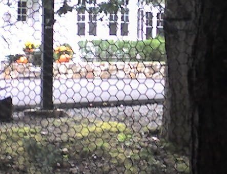 Critterfence Brand Steel Deer Fence Garden Fencing Dog Fence 2ftx 150ft Roll