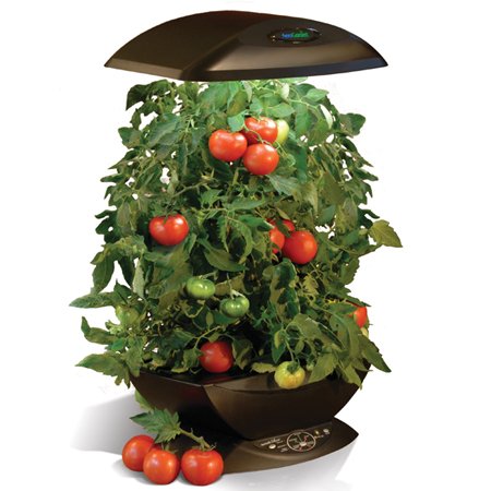 Buy AeroGrow AeroGarden Deluxe with Master Gardener Deluxe Kit, Black online at Discounted New and Used prices. Delivered to your door with Off-The-Bookshelf.